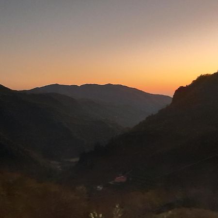 La Casa Di Amelia Villa Borzonasca Bagian luar foto
