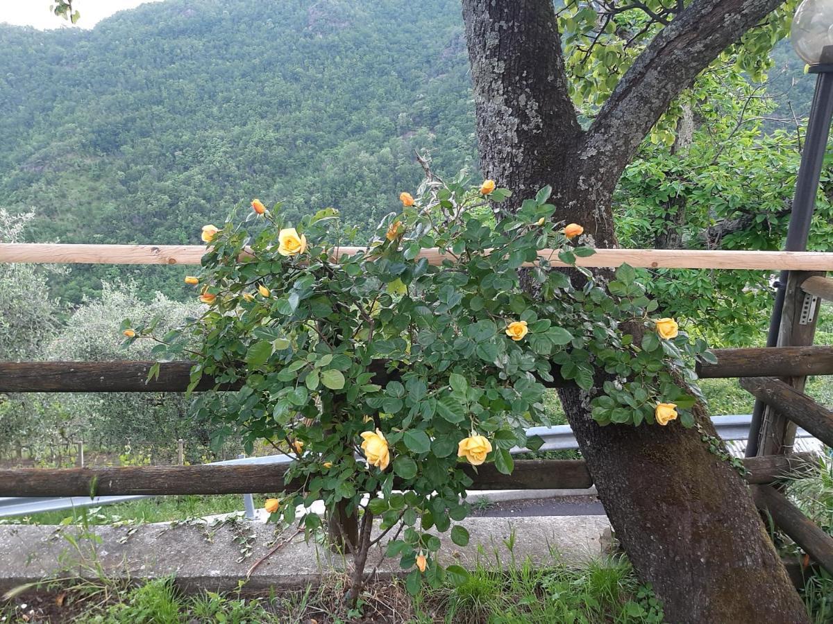La Casa Di Amelia Villa Borzonasca Bagian luar foto