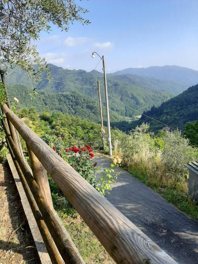 La Casa Di Amelia Villa Borzonasca Bagian luar foto