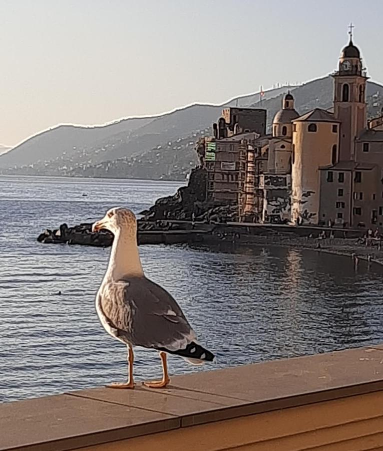 La Casa Di Amelia Villa Borzonasca Bagian luar foto